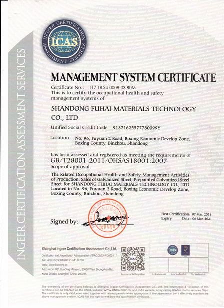 China Rogo Industrial (Shanghai) Co., Ltd. Certificações